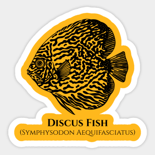 Discus Fish with Common and Latin Names - fish lovers design Sticker